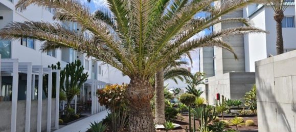 1 chambre Appartement à La Oliva, Spain No. 145707 32