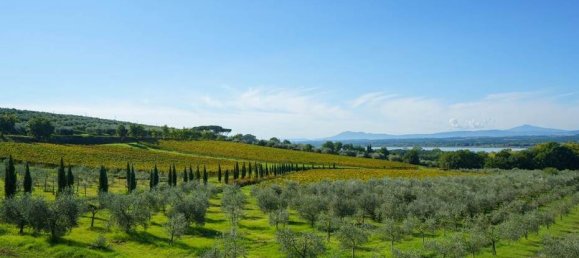 7 chambres Villa à Tuoro sul Trasimeno, Italy No. 54186 7