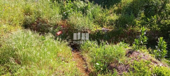 Terreno em Caminha, Portugal 2310 m² N.º 58688 4