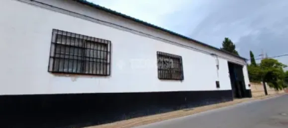  مستودع في Toledo, Spain 908متر مربع رقم 169405 20