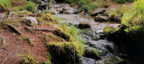 Apartamento de 2 dormitorios en Freising, Germany No. 321694 15