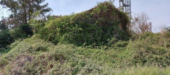 3324m² Warehouse in Codigoro, Italy No. 376340 12