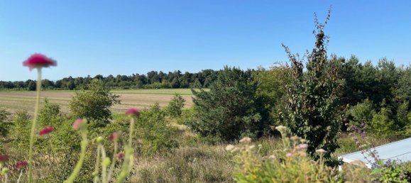 3 غرف نوم شقة في Karlsruhe, Germany رقم 312303 22