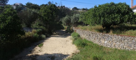 5 bedrooms House in Ansiao, Portugal No. 22025 3