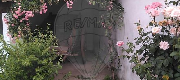 4 bedrooms House in Tramagal, Portugal No. 30223 45