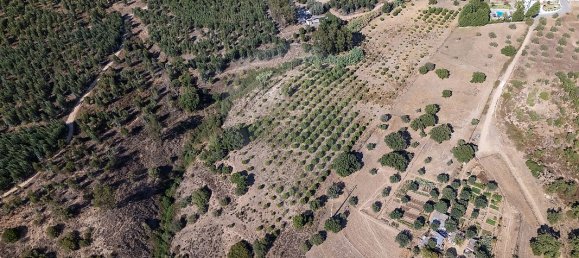 4 bedrooms House in Tramagal, Portugal No. 30223 2