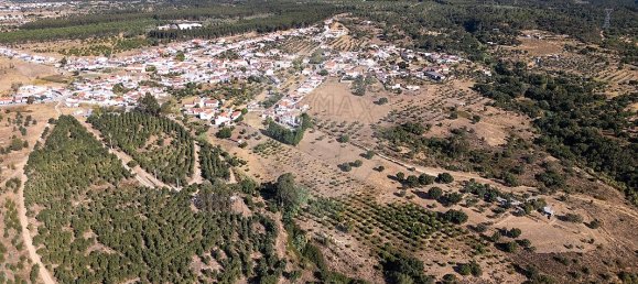 4 bedrooms House in Tramagal, Portugal No. 30223 8