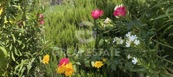 16 bedrooms House in Corciano, Italy No. 55855 45