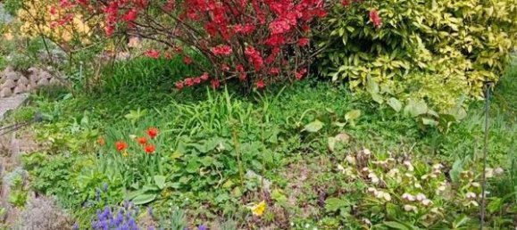 7غرفة منزل في Puchenstuben, Austria رقم 180012 24