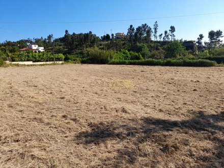 1620m² Land in Amarante, Portugal No. 57610