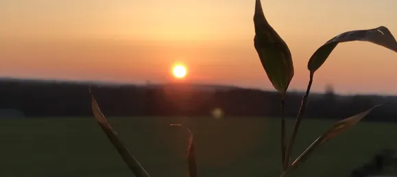 2 chambres Duplex à Bochum, Germany No. 91111 2