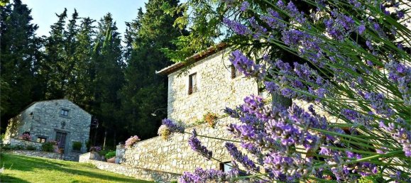 Отель, гостиница с 13 спальнями в Кастеллина ин Кьянти, Италия № 102397 37