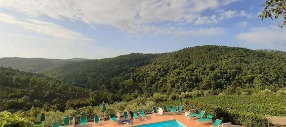 Отель, гостиница с 13 спальнями в Кастеллина ин Кьянти, Италия № 102397 14