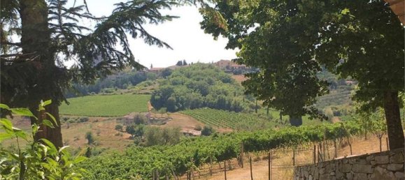 Отель, гостиница с 13 спальнями в Кастеллина ин Кьянти, Италия № 102397 31