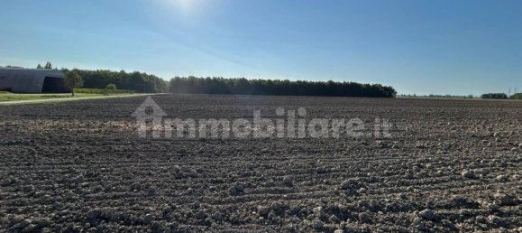 56700m² Land in Camposanto, Italy No. 375585 4