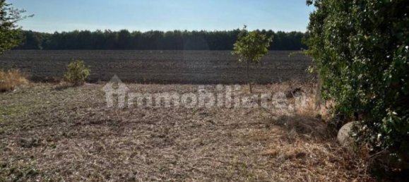 56700m² Land in Camposanto, Italy No. 375585 2