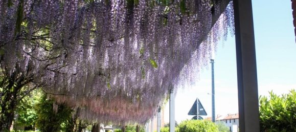 Apartamento de 3 divisões em Cesano Maderno, Italy N.º 230520 7