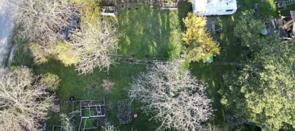 Land in Traiskirchen, Austria No. 163485 5