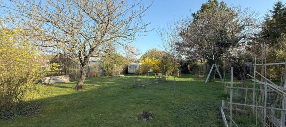 Land in Traiskirchen, Austria No. 163485 3