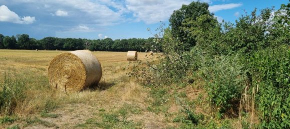 Grundstück in Oder-Spree, Germany, Nr. 365971 11