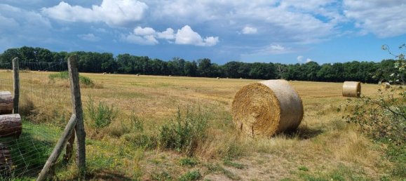 Grundstück in Oder-Spree, Germany, Nr. 365971 12
