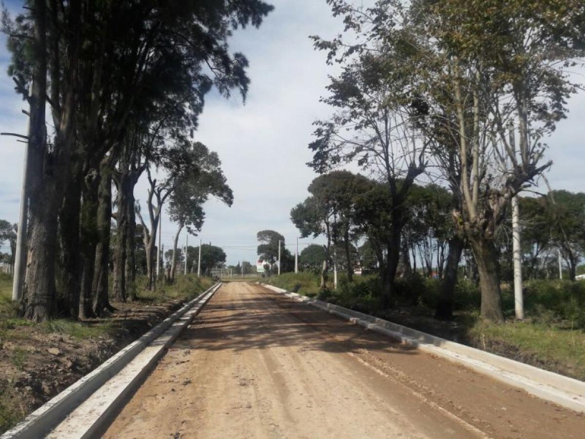  Land in Campo Creado, Argentina No. 42645