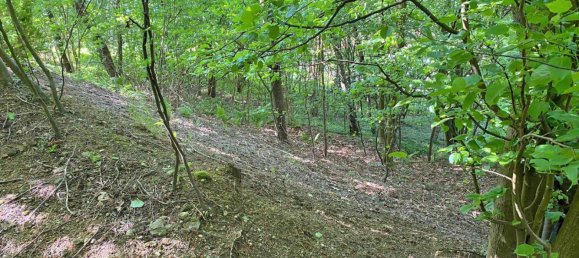 1341m² Land in Engerwitzdorf, Austria No. 163909 3