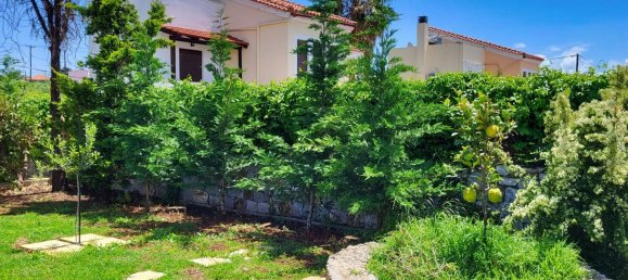 12 غرف نوم فيلا في Chania, Greece رقم 85 14