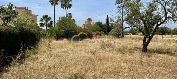 803m² Land in Guia, Portugal No. 140260 3