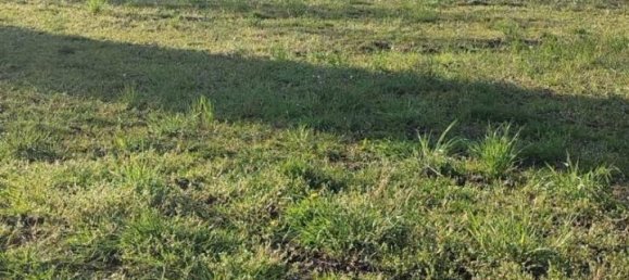 5 rooms Villa in Isola Rizza, Italy No. 39812 9