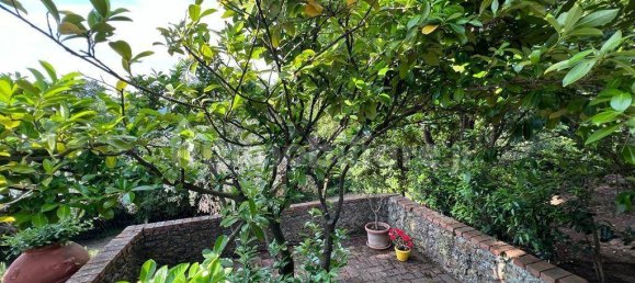 3 bedrooms Villa in Guardistallo, Italy No. 163476 15