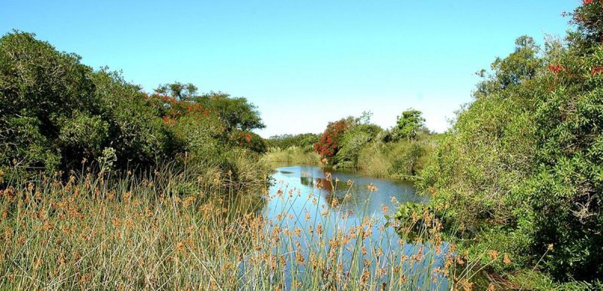 Ferme à Maldonado, Uruguay 45m² No. 14919
