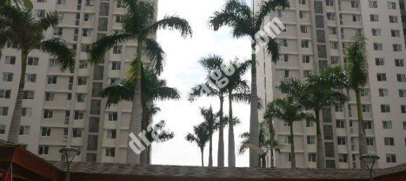 131m² Apartment in Thu Duc, Vietnam No. 11006 12