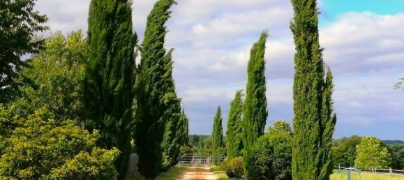 4 chambres Maison à Charente, France No. 346574 3