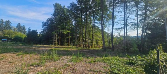 Terreno em Altlengbach, Austria 1000 m² N.º 194967 4