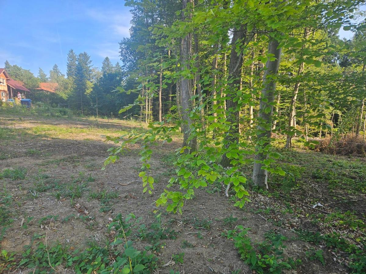 Terreno em Altlengbach, Austria 1000 m² N.º 194967