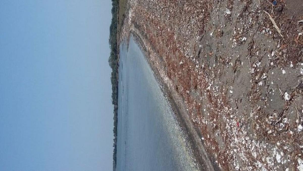  Land in Veracruz, Mexico No. 204135