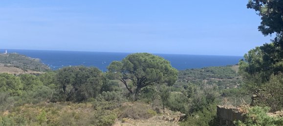 3 bedrooms House in Pyrenees-Orientales, France No. 361213 2