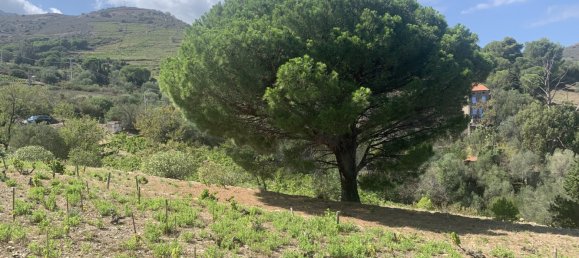 3 bedrooms House in Pyrenees-Orientales, France No. 361213 21