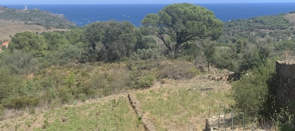 3 bedrooms House in Pyrenees-Orientales, France No. 361213 8