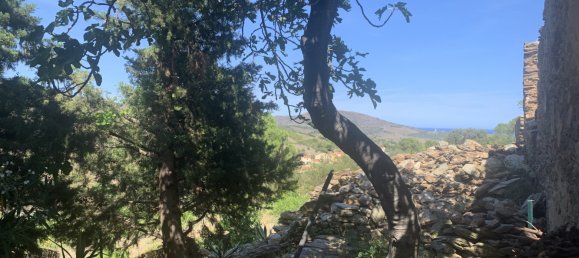 3 bedrooms House in Pyrenees-Orientales, France No. 361213 19