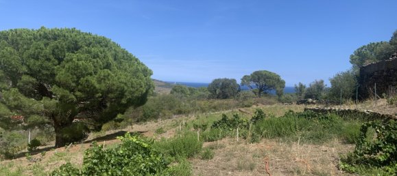 3 bedrooms House in Pyrenees-Orientales, France No. 361213 20