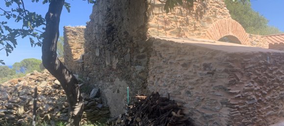 3 bedrooms House in Pyrenees-Orientales, France No. 361213 18