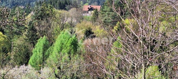  عقار تجاري في Krottendorf-Gaisfeld, Austria رقم 132240 15