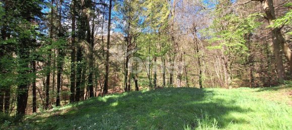  عقار تجاري في Krottendorf-Gaisfeld, Austria رقم 132240 17