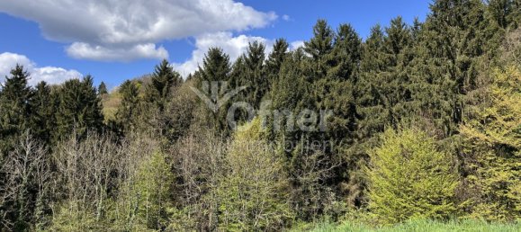  عقار تجاري في Krottendorf-Gaisfeld, Austria رقم 132240 27