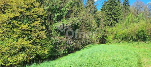  عقار تجاري في Krottendorf-Gaisfeld, Austria رقم 132240 28