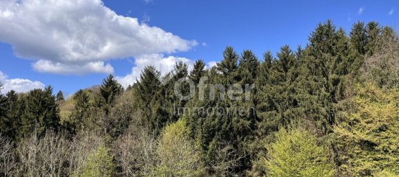  عقار تجاري في Krottendorf-Gaisfeld, Austria رقم 132240 12