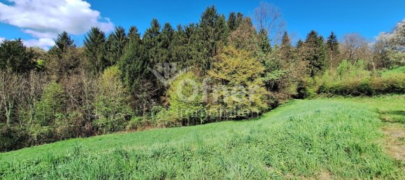  عقار تجاري في Krottendorf-Gaisfeld, Austria رقم 132240 10