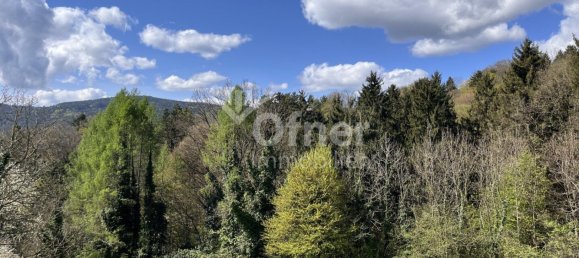  عقار تجاري في Krottendorf-Gaisfeld, Austria رقم 132240 25